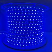 Rop Lights Roll