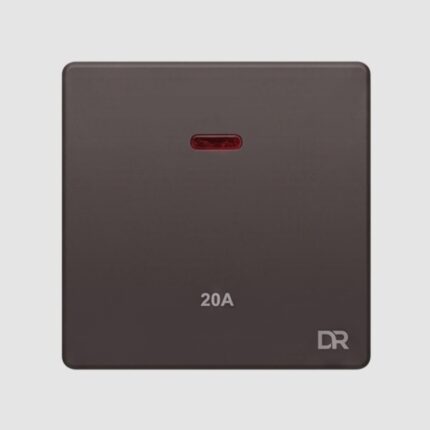 Rich Brown -20Amp Switch