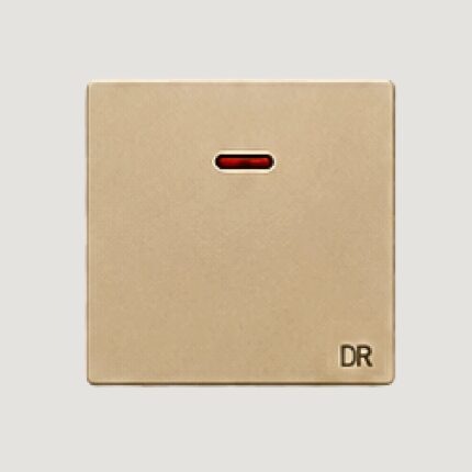 Champagne - 20Amp Switch